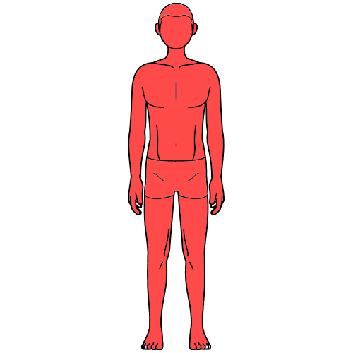 脱毛SHINEの全身脱毛